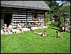 IMG_0228x.JPG
