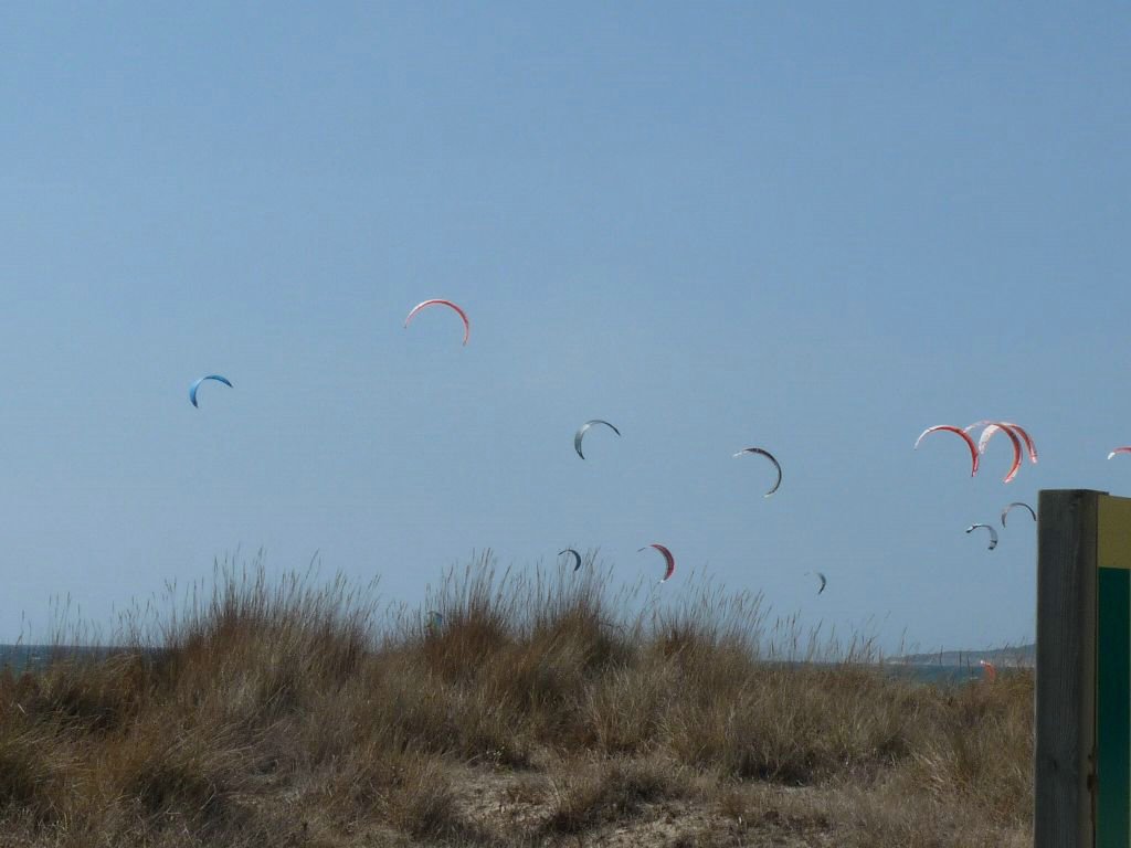 P1050344.JPG