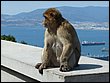 P1050313.JPG