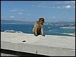 P1050320.JPG