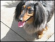 IMG_7046.JPG