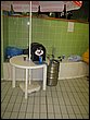 IMG_3423.jpg