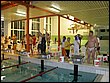 IMG_3427.jpg
