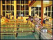 IMG_3459.jpg