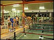 IMG_3461.jpg