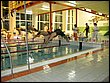 IMG_3465.jpg