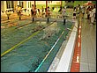IMG_3467.jpg