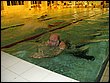 IMG_3469.jpg