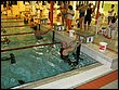 IMG_3470.jpg