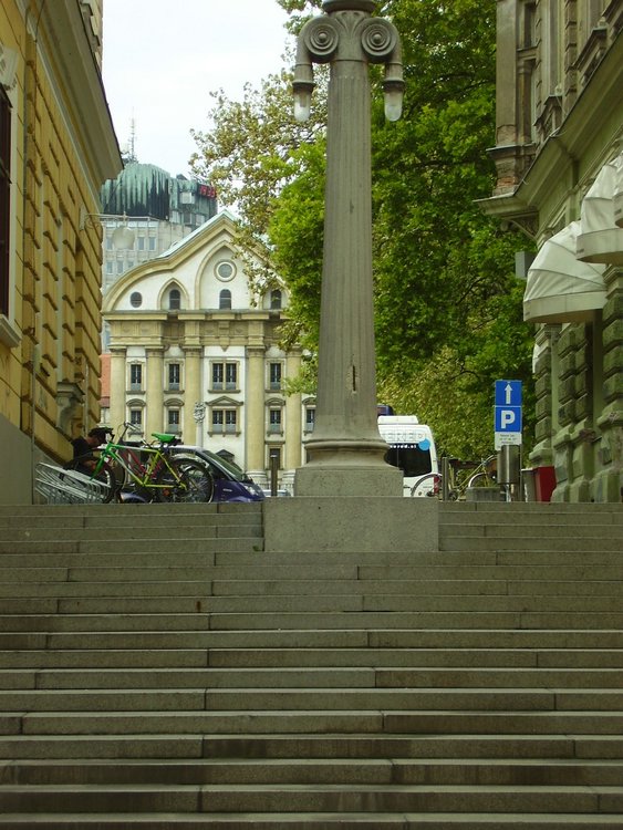 P8250107.JPG