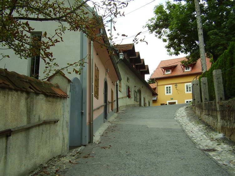 P8250117.JPG