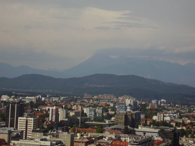 P8250134.JPG