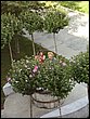 P8250139.JPG