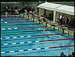 P8280218.JPG