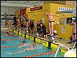 lipa08_bazen-24.jpg