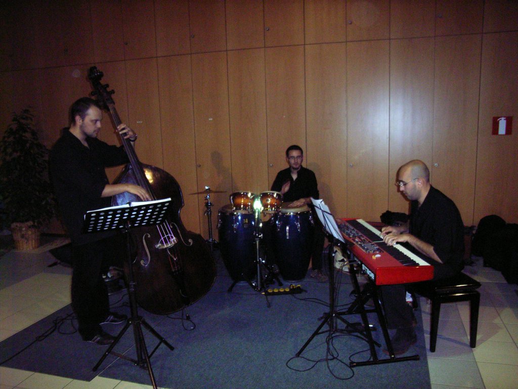 RIMG0042.JPG