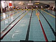 IMG_9239.jpg