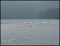 IMG_5076.JPG
