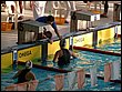 P1010664.JPG