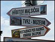 IMG_5565.JPG