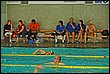 neptun08-bazen-021.jpg