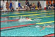 neptun08-bazen-153.jpg